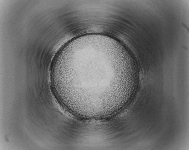 X0000102771034200809021025