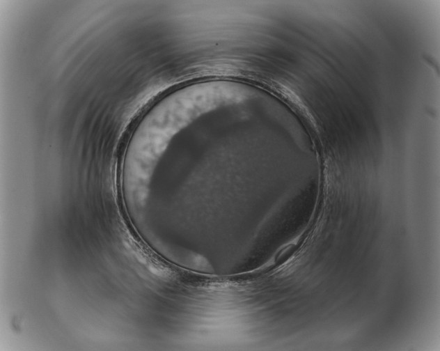 X0000102771035200809021025