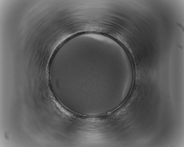 X0000102771037200809021025