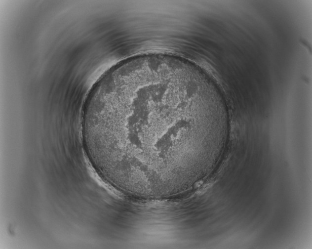 X0000102771038200809021025