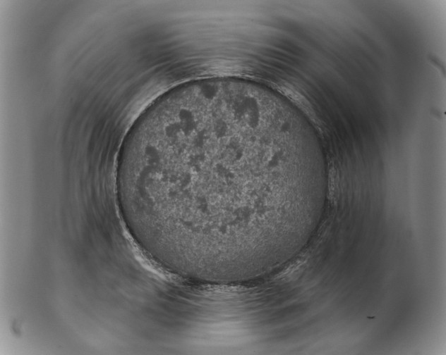 X0000102771039200809021025