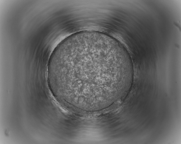 X0000102771040200809021025