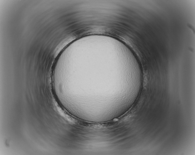 X0000102771042200809021025