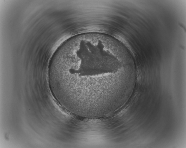 X0000102771043200809021025