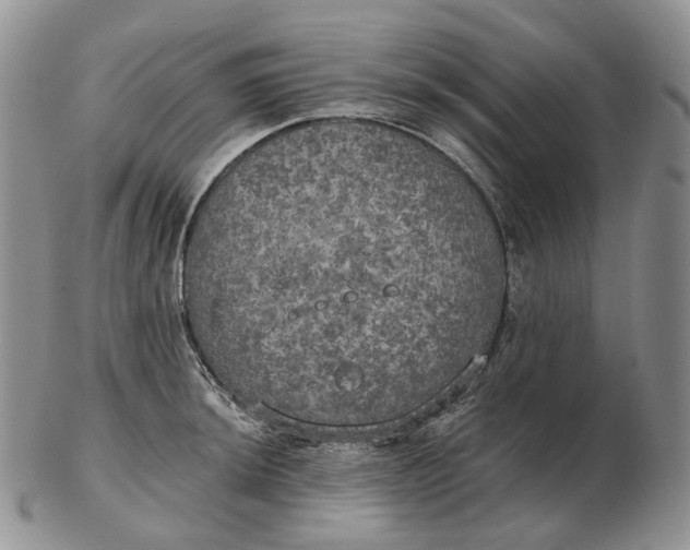 X0000102771044200809021025