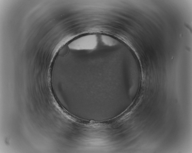 X0000102771045200809021025