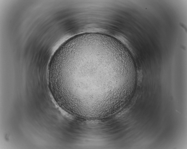 X0000102771046200809021025