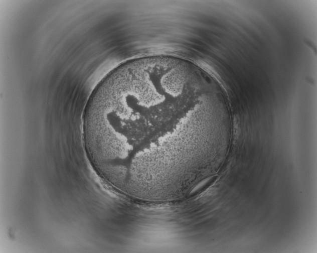 X0000102771047200809021025