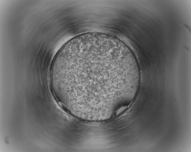 X0000102771048200809021025