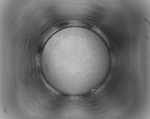 X0000102771049200809021025