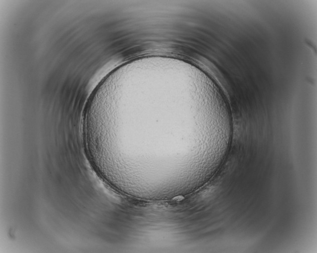 X0000102771050200809021025