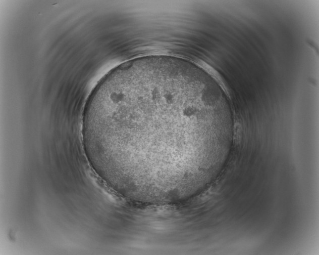 X0000102771051200809021025