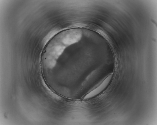 X0000102771055200809021025