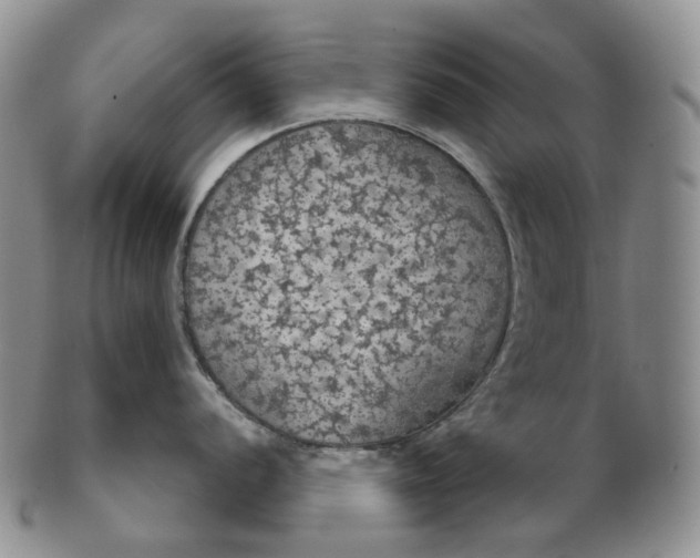 X0000102771056200809021025