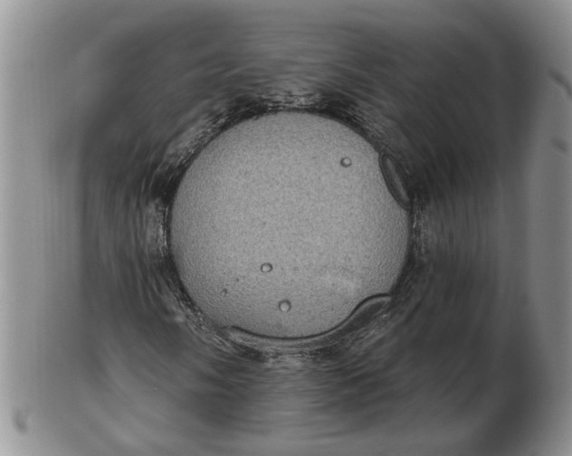 X0000102771058200809021025