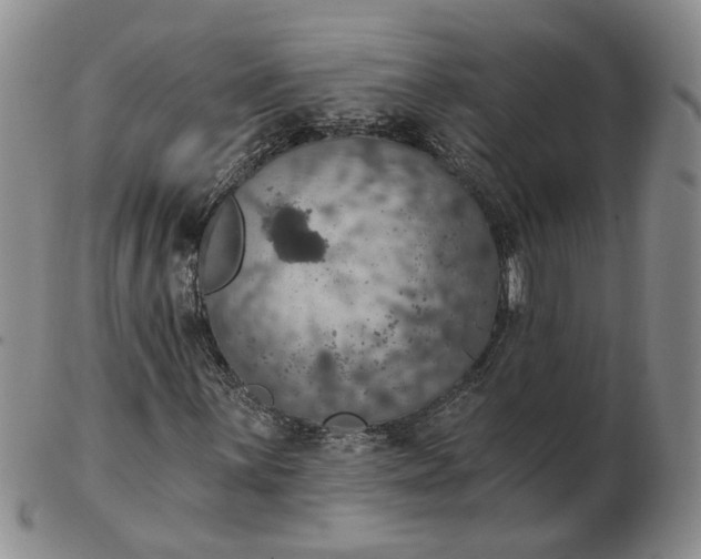 X0000102771059200809021025