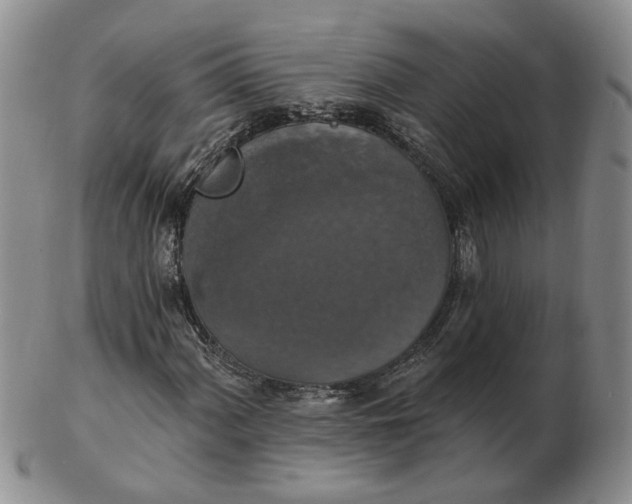 X0000102771060200809021025