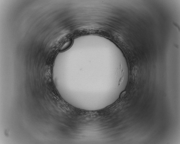 X0000102771062200809021025