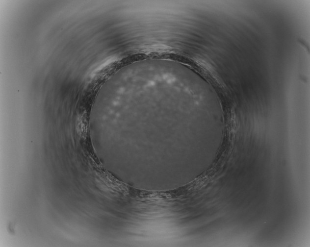 X0000102771063200809021025