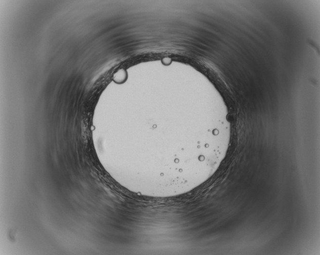 X0000102771064200809021025