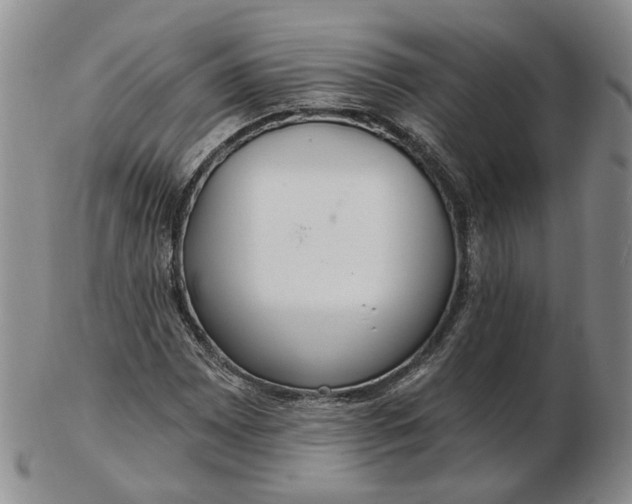 X0000102771065200809021025