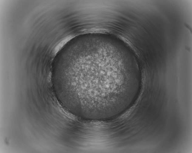 X0000102771066200809021025