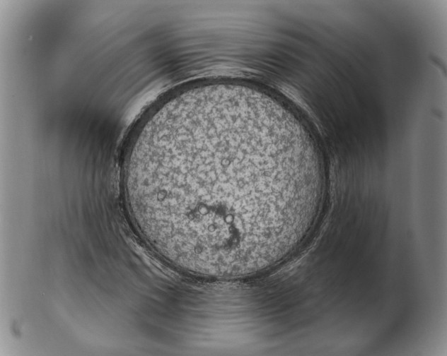 X0000102771067200809021025