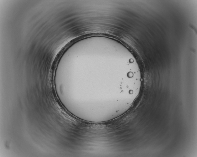 X0000102771068200809021025