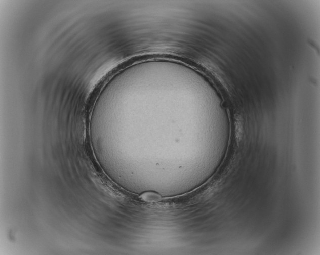 X0000102771069200809021025