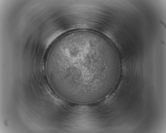 X0000102771070200809021025