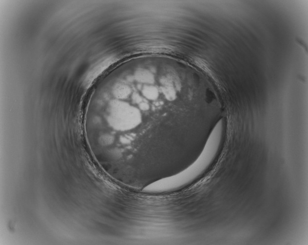 X0000102771071200809021025