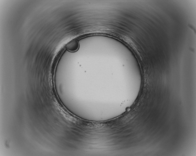 X0000102771072200809021024