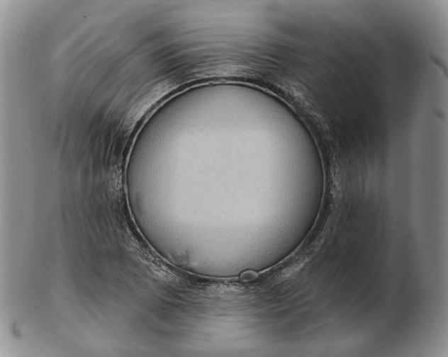 X0000102771073200809021024