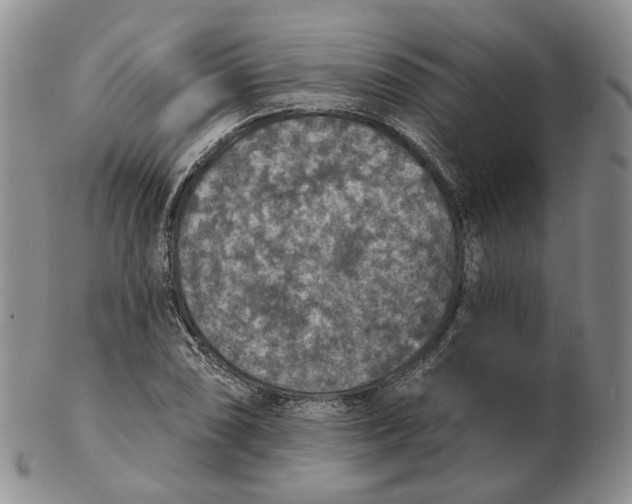 X0000102771074200809021024