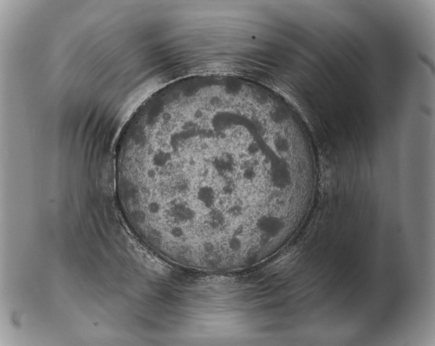 X0000102771075200809021024