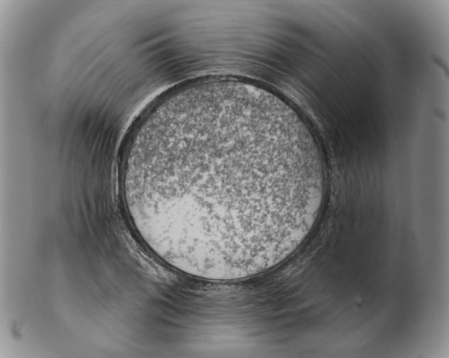 X0000102771076200809021024