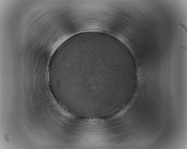 X0000102771077200809021024