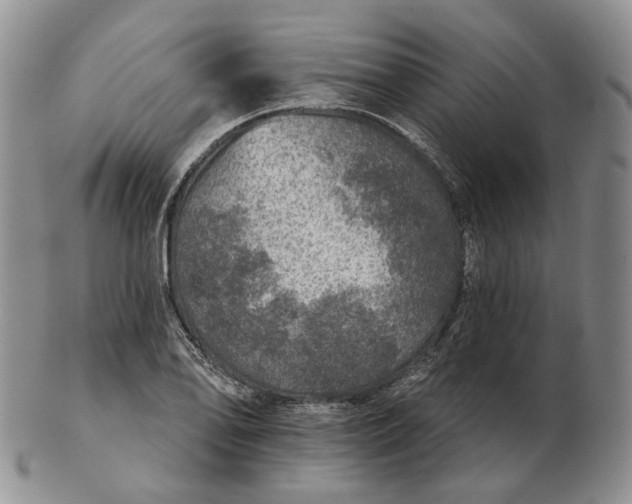 X0000102771078200809021024