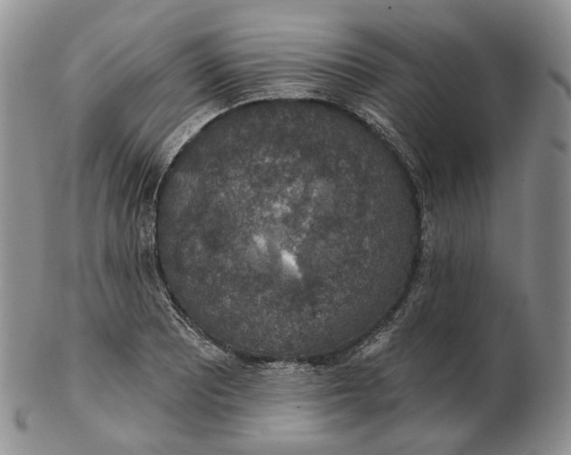 X0000102771081200809021024