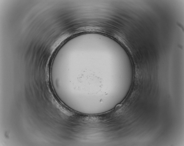 X0000102771082200809021024