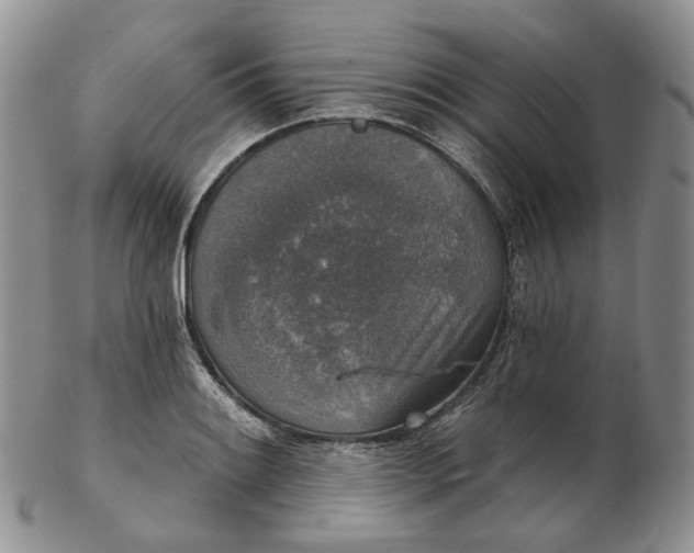 X0000102771084200809021024