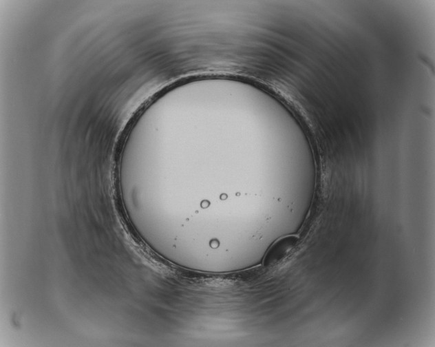 X0000102771085200809021024