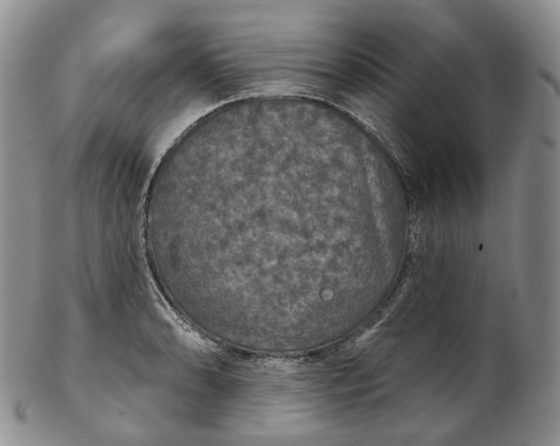 X0000102771086200809021024