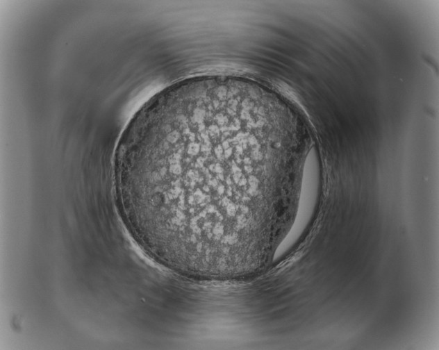 X0000102771087200809021024