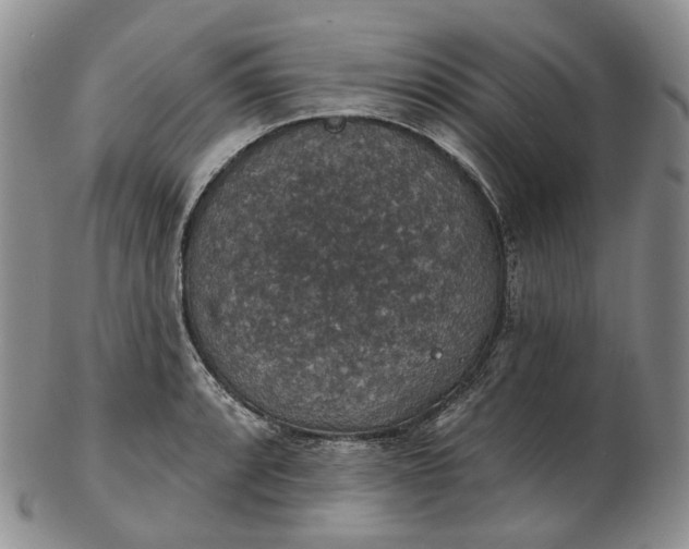 X0000102771088200809021024