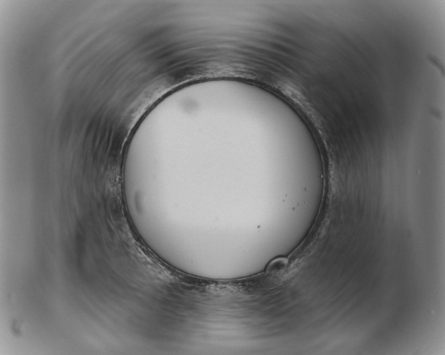 X0000102771089200809021024