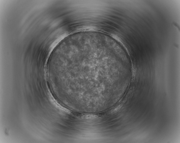 X0000102771090200809021024