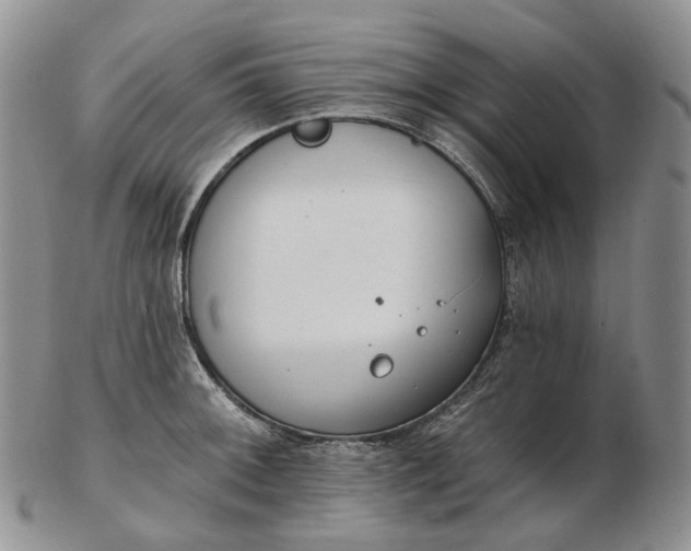 X0000102771092200809021024