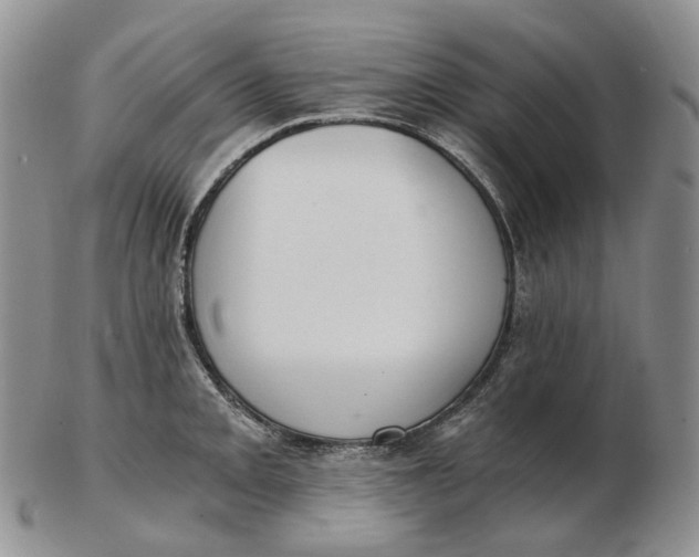 X0000102771093200809021024