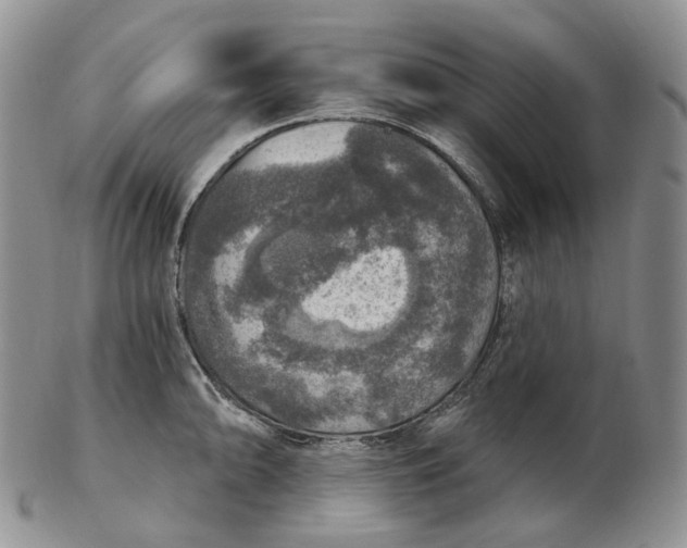 X0000102771094200809021024